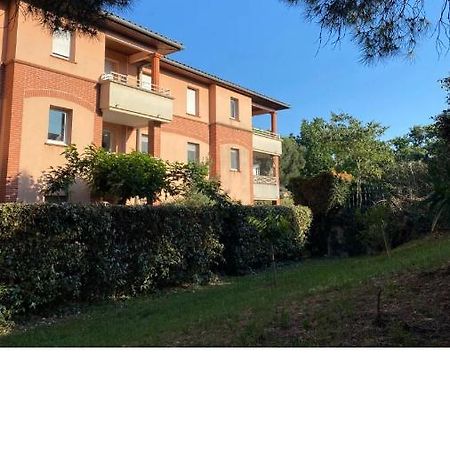 T2 Climatise Jardin & Court De Tennis/Piscine /Parking/Fibre Тулуза Экстерьер фото